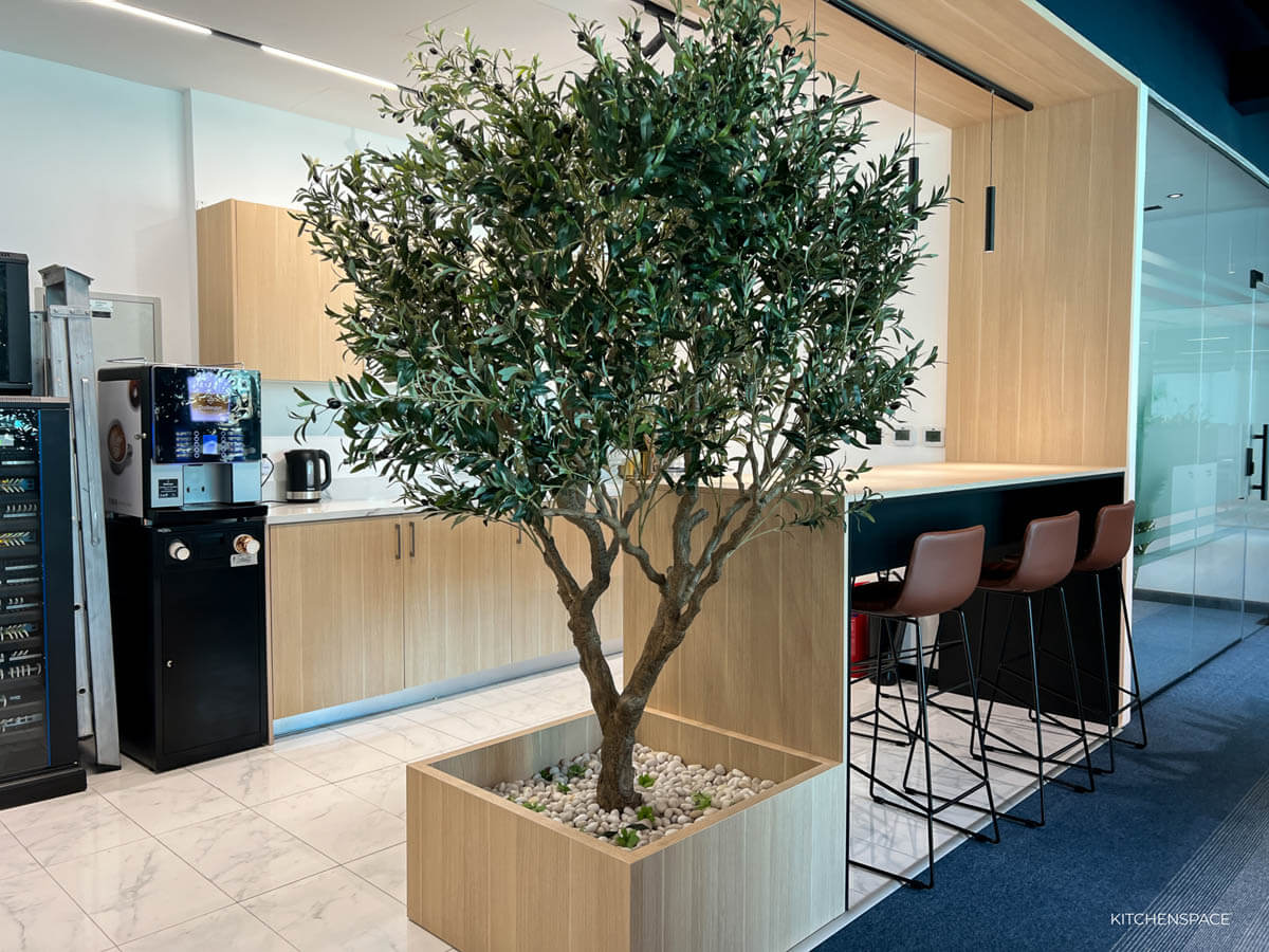 Modern Wood Tone Office Pantry